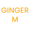 Ess Hot Belt Ginger / M