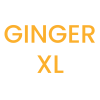 Ess Pant Ginger/ XL