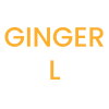 Ess Armshaper Ginger/ L