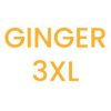 Ess Thermal Pants Ginger/ 3XL